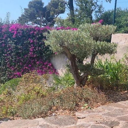 Villa Du Bau Rouge كاركيران المظهر الخارجي الصورة